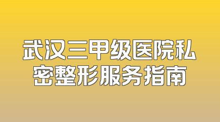 武汉三甲级医院私密整形服务指南