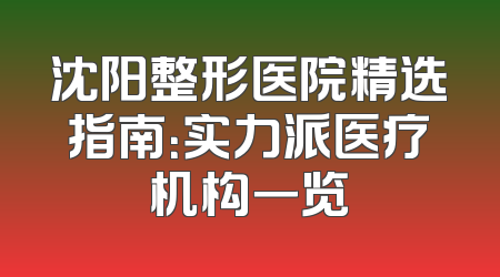 沈阳整形医院精选指南：实力派医疗机构一览