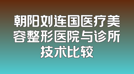 朝阳刘连国医疗美容整形医院与诊所技术比较