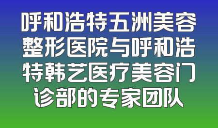 呼和浩特五洲美容整形医院与呼和浩特韩艺医疗美容门诊部的专家团队