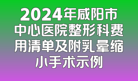2024年咸阳市中心医院整形科费用清单及附乳晕缩小手术示例