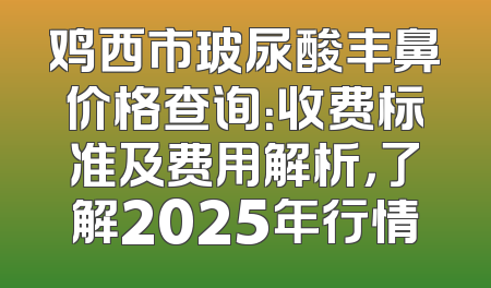 鸡西市玻尿酸丰鼻价格查询：收费标准及费用解析，了解2025年行情