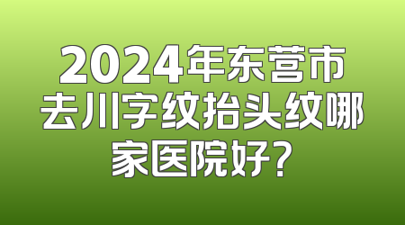 2024年东营市去川字纹抬头纹哪家医院好？