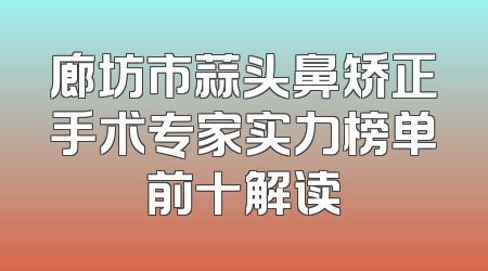 廊坊市蒜头鼻矫正手术专家实力榜单前十解读