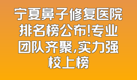 宁夏鼻子修复医院排名榜公布！专业团队齐聚，实力强校上榜