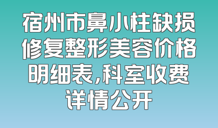 宿州市鼻小柱缺损修复整形美容价格明细表，科室收费详情公开