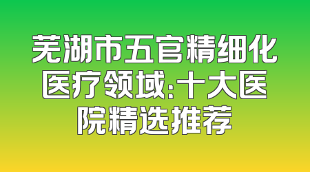 芜湖市五官精细化医疗领域：十大医院精选推荐