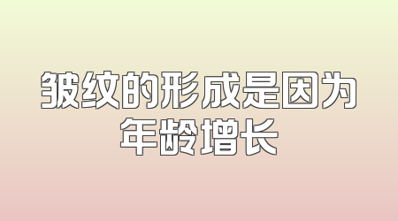 皱纹的形成是因为年龄增长