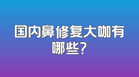 国内鼻修复大咖有哪些？