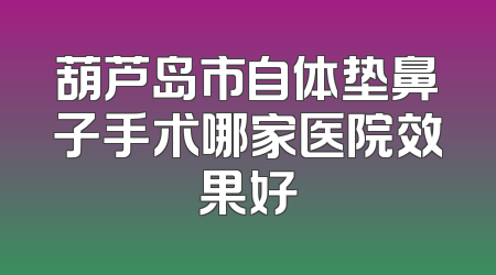 葫芦岛市自体垫鼻子手术哪家医院效果好