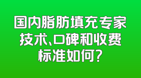 国内脂肪填充专家技术、口碑和收费标准如何？