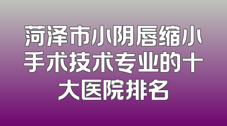 菏泽市小阴唇缩小手术技术专业的十大医院排名