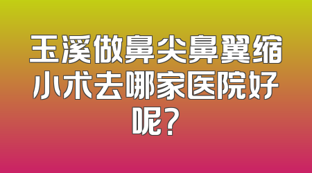 玉溪做鼻尖鼻翼缩小术去哪家医院好呢？