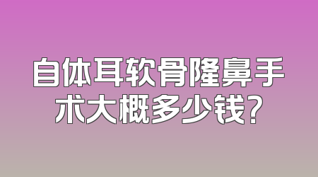 自体耳软骨隆鼻手术大概多少钱？
