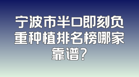 宁波市半口即刻负重种植排名榜哪家靠谱？