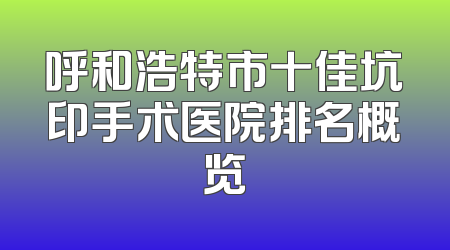 呼和浩特市十佳坑印手术医院排名概览