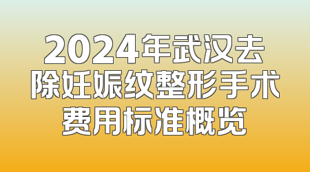 2024年武汉去除妊娠纹整形手术费用标准概览
