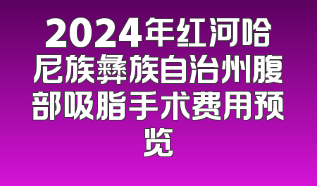 2024年红河哈尼族彝族自治州腹部吸脂手术费用预览