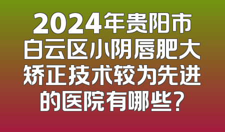 2024年贵阳市白云区小阴唇肥大矫正技术较为先进的医院有哪些？