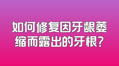 如何修复因牙龈萎缩而露出的牙根？