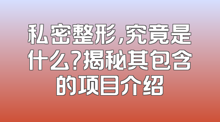 私密整形，究竟是什么？揭秘其包含的项目介绍