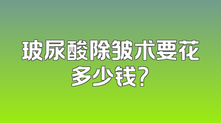 玻尿酸除皱术要花多少钱？