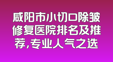 咸阳市小切口除皱修复医院排名及推荐，专业人气之选