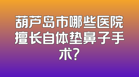 葫芦岛市哪些医院擅长自体垫鼻子手术？