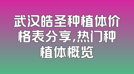 武汉皓圣种植体价格表分享，热门种植体概览