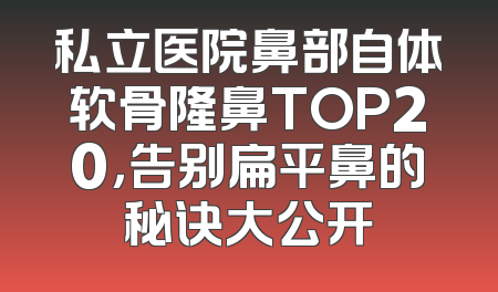 私立医院鼻部自体软骨隆鼻TOP20，告别扁平鼻的秘诀大公开