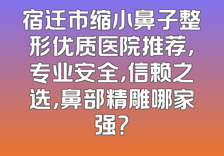 宿迁市缩小鼻子整形优质医院推荐，专业安全，信赖之选，鼻部精雕哪家强？
