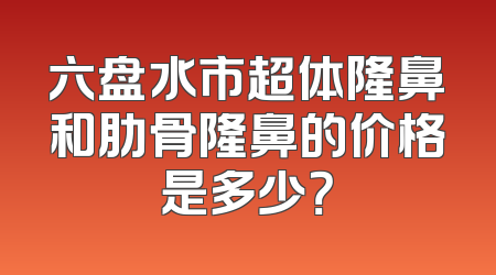 六盘水市超体隆鼻和肋骨隆鼻的价格是多少？