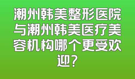 潮州韩美整形医院与潮州韩美医疗美容机构哪个更受欢迎？