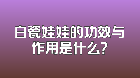 白瓷娃娃的功效与作用是什么？