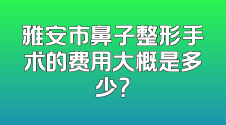 雅安市鼻子整形手术的费用大概是多少？
