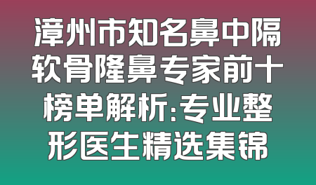 漳州市知名鼻中隔软骨隆鼻专家前十榜单解析：专业整形医生精选集锦