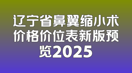 辽宁省鼻翼缩小术价格价位表新版预览2025