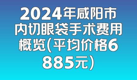 2024年咸阳市内切眼袋手术费用概览（平均价格6885元）