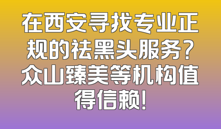 在西安寻找专业正规的祛黑头服务？众山臻美等机构值得信赖！