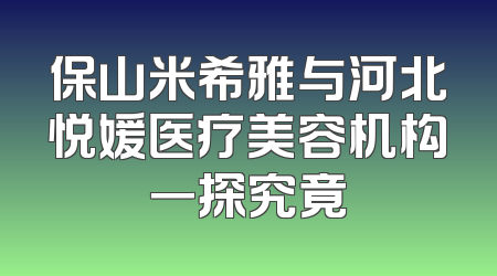 保山米希雅与河北悦媛医疗美容机构一探究竟