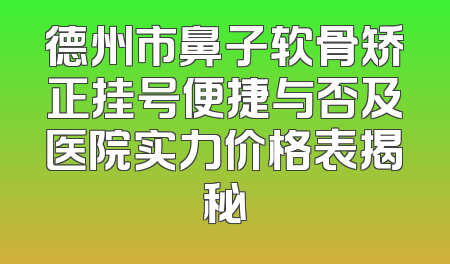 德州市鼻子软骨矫正挂号便捷与否及医院实力价格表揭秘