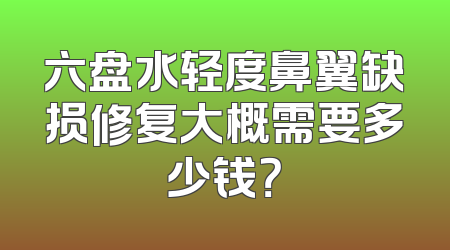 六盘水轻度鼻翼缺损修复大概需要多少钱？