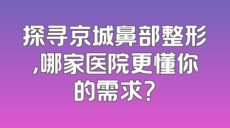 探寻京城鼻部整形，哪家医院更懂你的需求？
