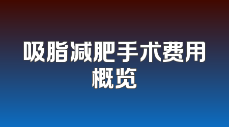 吸脂减肥手术费用概览