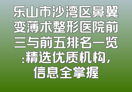 乐山市沙湾区鼻翼变薄术整形医院前三与前五排名一览：精选优质机构，信息全掌握