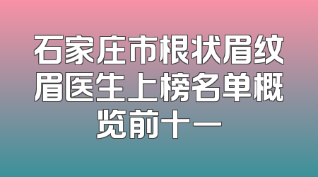 石家庄市根状眉纹眉医生上榜名单概览前十一