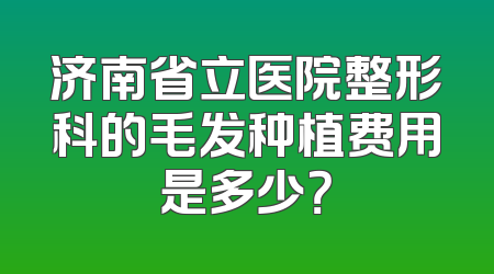 济南省立医院整形科的毛发种植费用是多少？