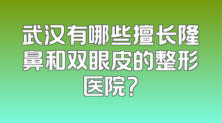 武汉有哪些擅长隆鼻和双眼皮的整形医院？