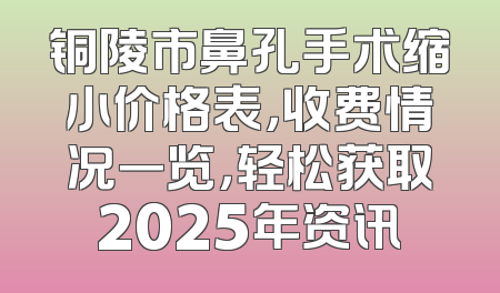 铜陵市鼻孔手术缩小价格表，收费情况一览，轻松获取2025年资讯