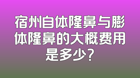 宿州自体隆鼻与膨体隆鼻的大概费用是多少？